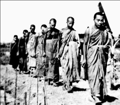 Quá trình truyền bá đạo Phật Khất sĩ Việt Nam