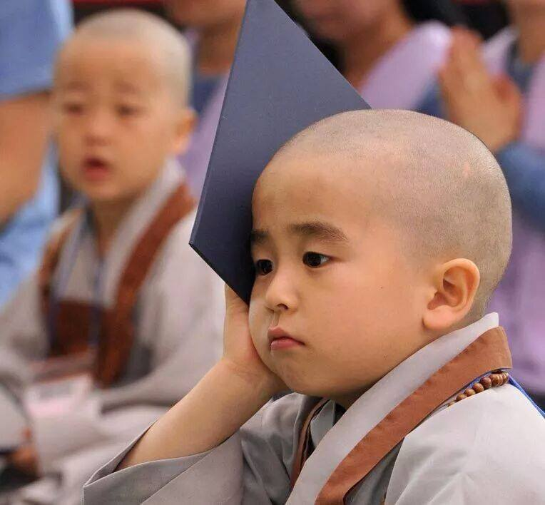 Gieo duyên Phật pháp cho con